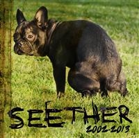 Seether - Seether: 2002 - 2013 ryhmässä CD / Pop-Rock @ Bengans Skivbutik AB (706908)