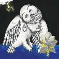 Songs: Ohia - Magnolia Electric Co. (Deluxe Ed.) ryhmässä -Start Vinyl @ Bengans Skivbutik AB (780812)