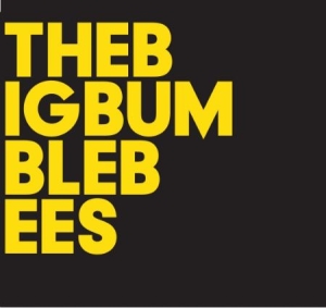 Big Bumble Bees The - The Big Bumble Bees ryhmässä CD / Pop-Rock,Svensk Folkmusik @ Bengans Skivbutik AB (946714)