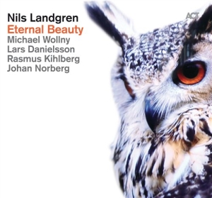 Nils Landgrenmichael Wollny Johan - Eternal Beauty ryhmässä cdonuppdat / CDON Jazz klassiskt NX @ Bengans Skivbutik AB (950732)