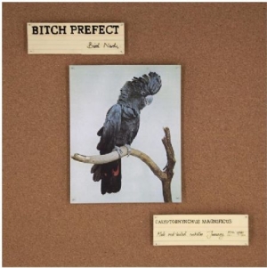 Bitch Prefect - Bird Nerds ryhmässä VINYYLI / Pop @ Bengans Skivbutik AB (992811)