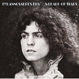 Tyrannosaurus Rex - A Beard Of Stars