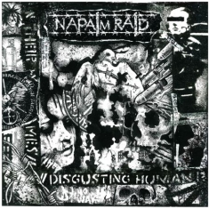 Napalm Raid - 2010-2015