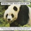 Various Artists - Where The Wild Nings Are