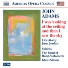 Adams John - I Was Lookin At The Ceiling