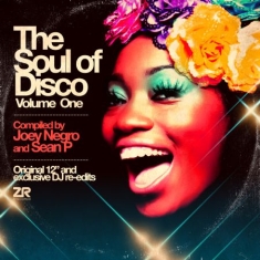 Various Artists - Soul Of Disco 1