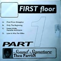 Parrish Theo - First Floor Pt.1 ryhmässä VINYYLI @ Bengans Skivbutik AB (2366400)