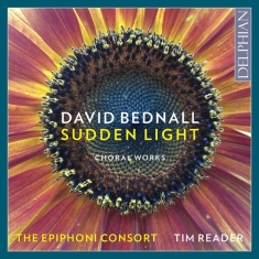 Bednall David - Sudden Light