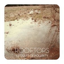 Rooftops - A Forest Of Polaris ryhmässä VINYYLI @ Bengans Skivbutik AB (2549069)