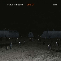 Steve Tibbetts - Life Of