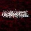 Carnage - Massacre ryhmässä VINYYLI @ Bengans Skivbutik AB (3233510)