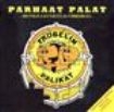 Fröbelin Palikat - Parhaat Palat