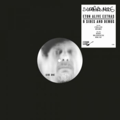 Sleaford Mods - B-Sides & Demos