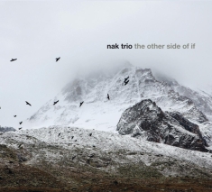 Nak Trio - Other Side Of If