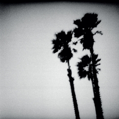 Twilight Singers - Blackberry Belle