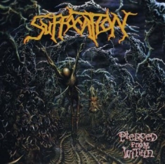 Suffocation - Pierced From Within