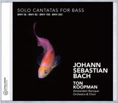 Frank Peter Zimmermann - Solo Cantatas For Bass