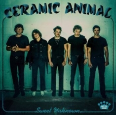 Ceramic Animal - Sweet Uknown