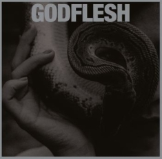 Godflesh - Purge