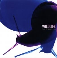 Phillips Anthony & Joji Hirota - Wildlife (Remastered And Expanded)