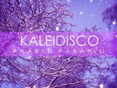 Paarse paraplu - Kaleidisco ryhmässä VINYYLI @ Bengans Skivbutik AB (488712)