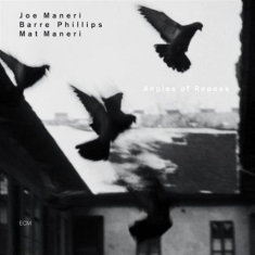 Maneri Joe - Angles Of Repose