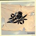 Bayside - Walking Wounded ryhmässä ME SUOSITTELEMME / Joululahjavinkki: CD @ Bengans Skivbutik AB (530038)