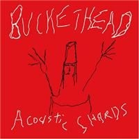 Buckethead - Acoustic Shards