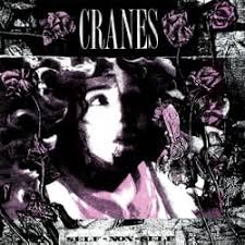 Cranes - Self-Non-Self