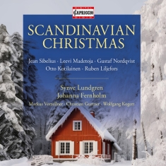 Synve Lundgren Johanna Fernholm - Scandinavian Christmas