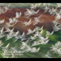 Kilbey Steve - Whispers In The Static