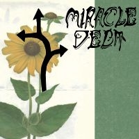 Miracle Debt - Under The Shadow