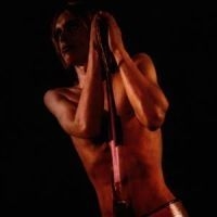 Iggy & The Stooges - Raw Power