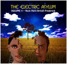 Various Artists - Electric Asylum Vol 4 ryhmässä CD @ Bengans Skivbutik AB (603424)