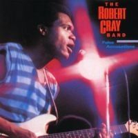 Robert Cray - False Accusations ryhmässä CD / Pop @ Bengans Skivbutik AB (614698)