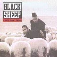 Black Sheep - Wolf In Sheep's Clothing ryhmässä CD / Pop @ Bengans Skivbutik AB (620139)