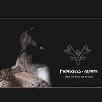 Neikka Rpm - Rise Of The 13Th Serpent ryhmässä CD / Pop @ Bengans Skivbutik AB (625070)