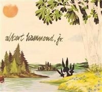 Hammond Jr Albert - Yours To Keep ryhmässä CD / Pop @ Bengans Skivbutik AB (625560)