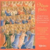 Various - Adeste Fideles / Christmas ryhmässä Externt_Lager / Naxoslager @ Bengans Skivbutik AB (637928)