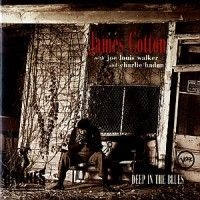 Cotton James - Deep In The Blues ryhmässä CD / Jazz/Blues @ Bengans Skivbutik AB (677338)