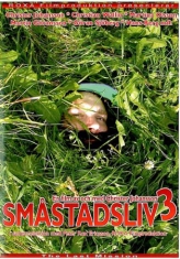 Småstadsliv - Småstadsliv Vol.3