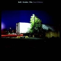 Belfi/Grubbs/Pilia - Dust & Mirrors